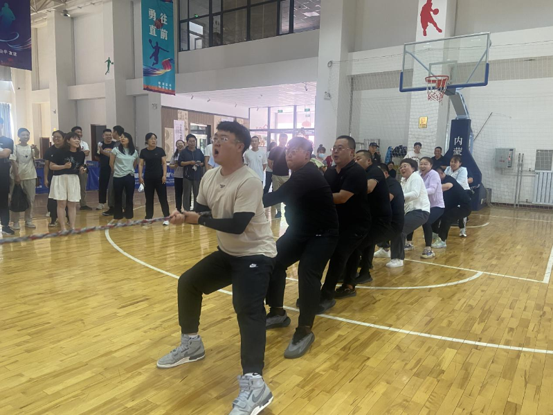 图片8